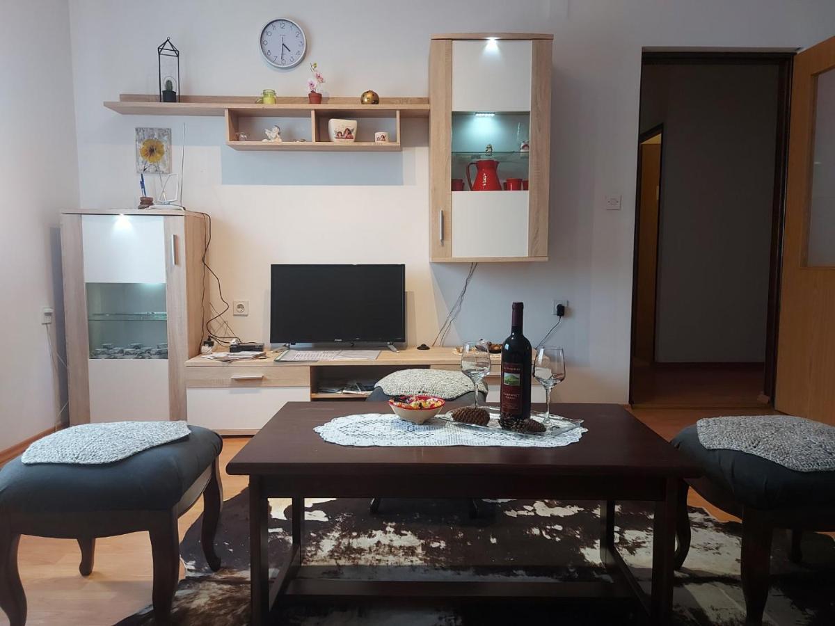 Apartman Skender 3* Ravna Gora Exterior photo