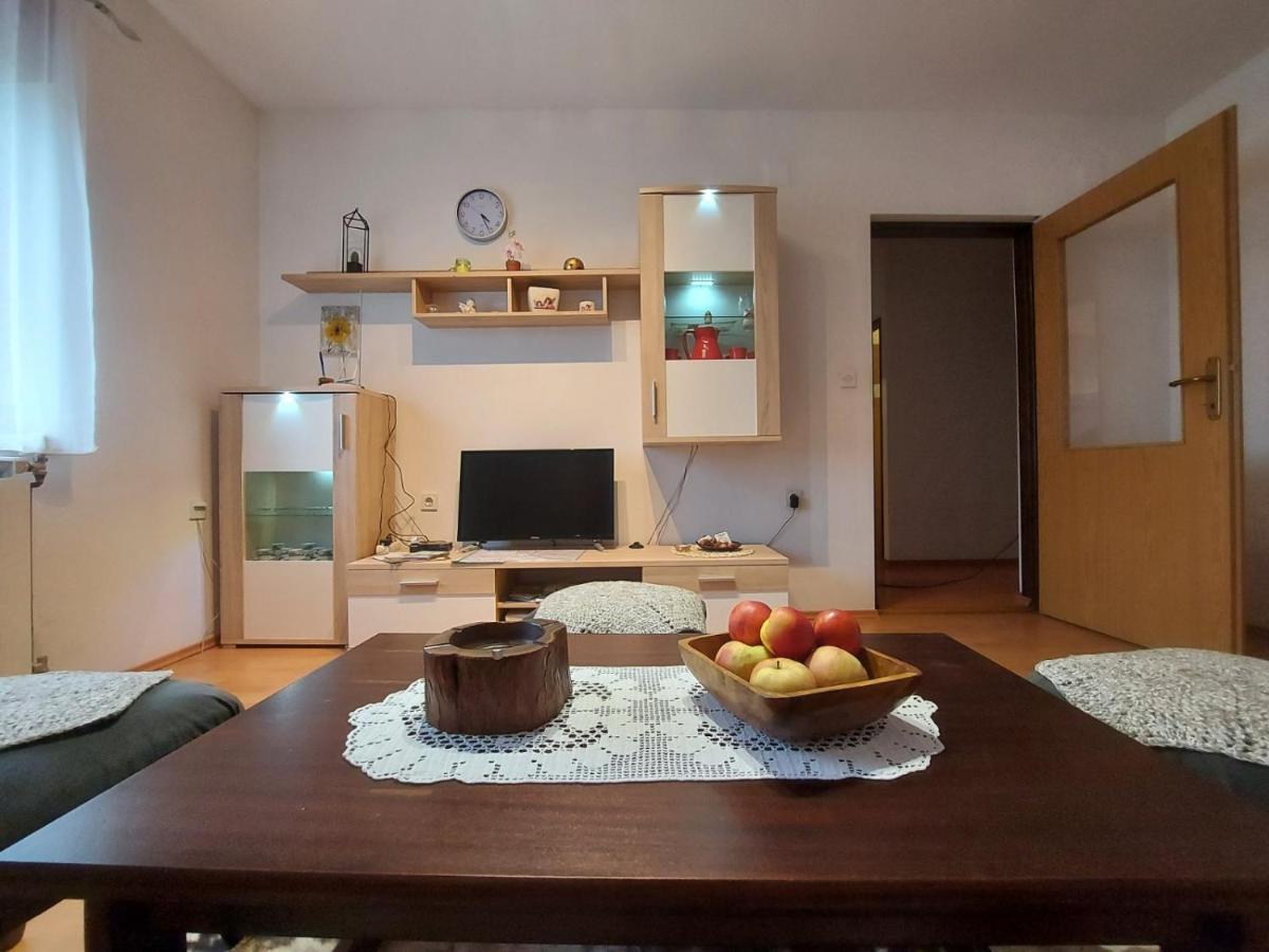 Apartman Skender 3* Ravna Gora Exterior photo